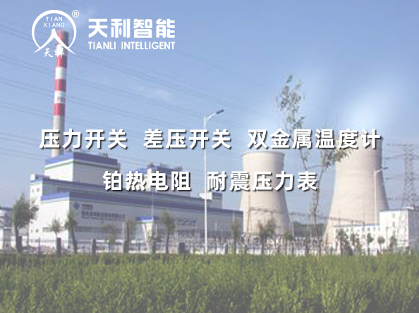 國電吉林龍華長春熱電一廠2*350MW超臨界機(jī)組給水