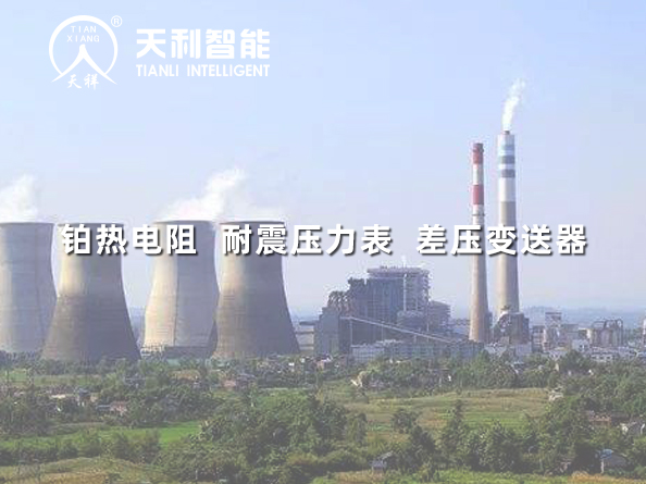重慶合川雙槐廠(chǎng)2*660MW級(jí)超超臨界機(jī)組凝結(jié)水泵