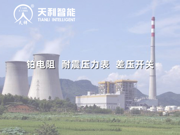 華潤電力溫州有限公司一期2*1000MW燃煤超超臨界機(jī)