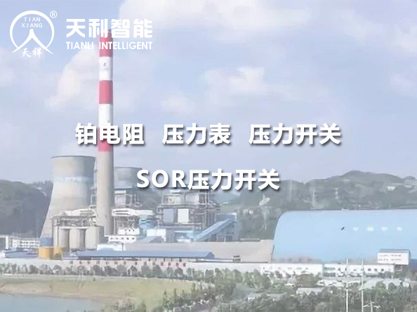 貴州華電桐梓發(fā)電有限公司2*600MW機(jī)組項(xiàng)目
